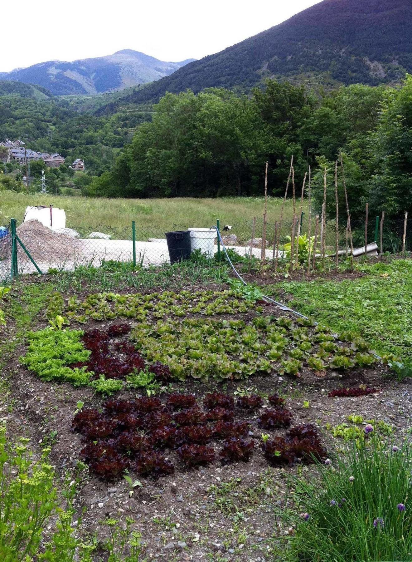 La Placa Gasthof Erill la Vall
